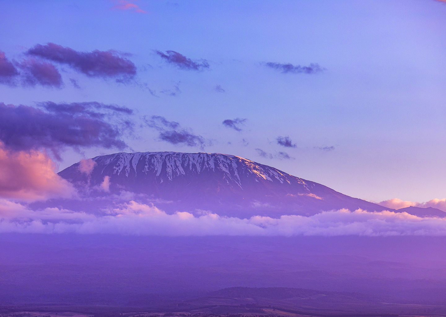 e-Friendlyダイアリー